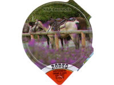 Serie 364 B \"Rodeo\", Riegel