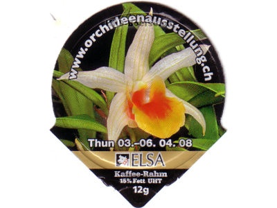 Serie 6.170 \"Orchideenausstellung 08\", Riegel